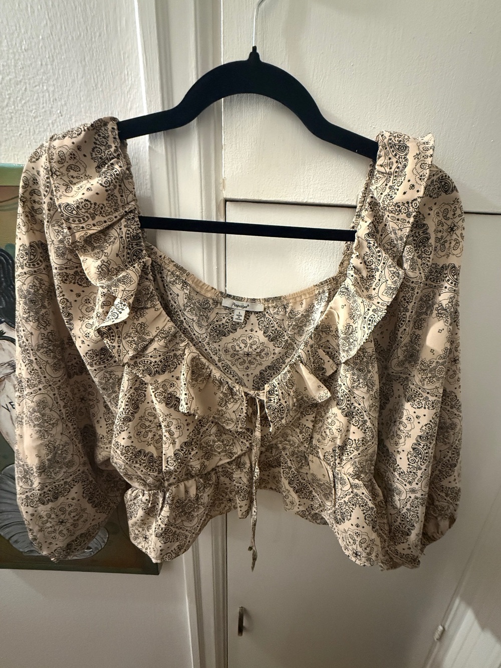 Cottage core paisley print ballon sleeve cropped blouse